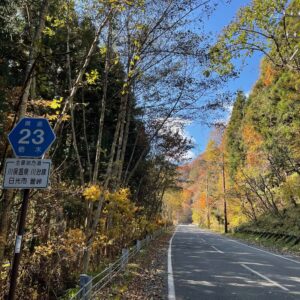 日光の北を走るr23の紅色風景③