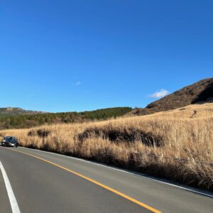 箱根・仙石原のすすき草原にて