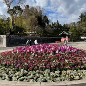 成田山新勝寺境内の綺麗な花壇