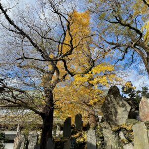 成田山新勝寺の仁王門の秋色の風景