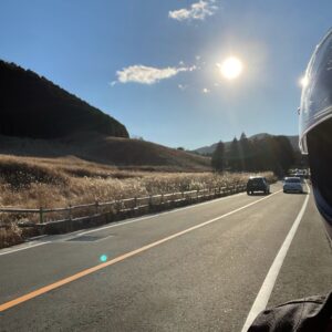 箱根・仙石原のすすき草原にて②