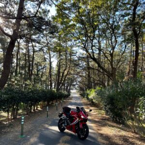千本浜公園の松林にてwith CBR650R