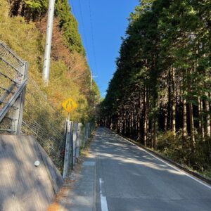 裾野市と芦ノ湖を結ぶr337のロード風景②