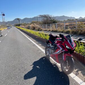 お花たちが両脇を彩る冬の房総フラワーラインwith CBR650R