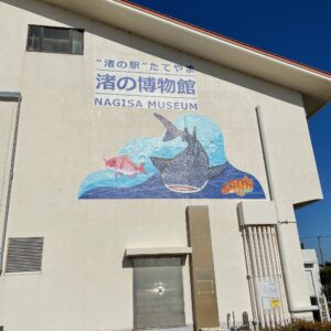 「渚の駅たてやま」の渚の博物館