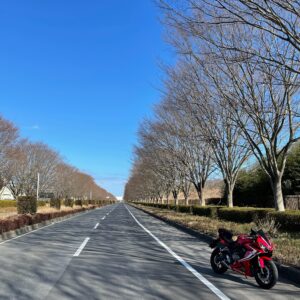ひたち海浜公園の内陸側の並木道にてwith CBR650R