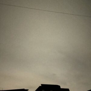 降雪後の早朝の朝空を見上げる