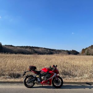 冬の茨城の田園風景①草原