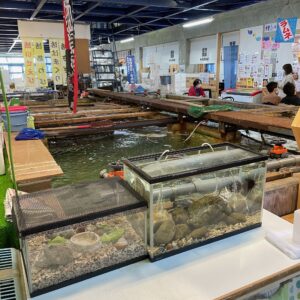 「道の駅ちくら」の海の幸で賑わう館内風景