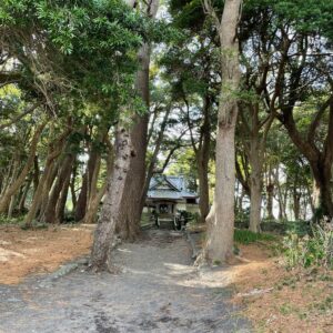 西伊豆御浜岬の林内に建つ諸口神社