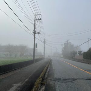 霧の立ち込める千葉県r14のロード風景