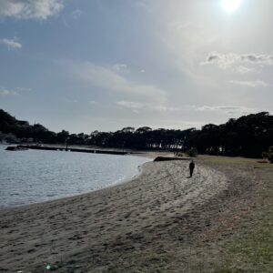 西伊豆御浜岬のみはまビーチの風景