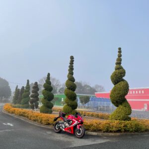 長柄ダムに隣接するロングウッドステーションのユニークな植栽