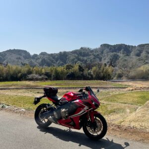春はまだ先の「石神菜の花畑」にてwith CBR650R