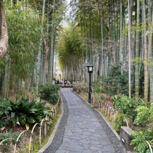 伊豆修善寺の竹林の小径にて