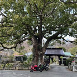 西伊豆土肥・安楽寺にて西伊豆スカイライン土肥駐車場にてwith CBR650R&ninja650