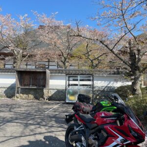 福島・桜の名所さくら湖エリアの福聚寺の桜with CBR650R&ninja650②