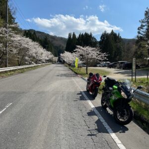 福島・田村広域農道・弁天桜にてwith CBR650R&ninja650