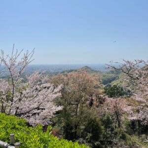 唐澤山神社で下りながら眺める眺望②