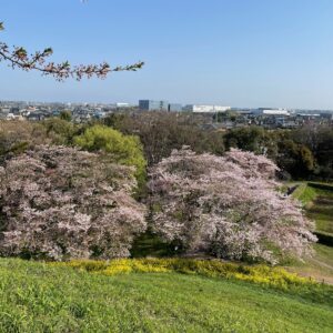 丸墓山古墳の頂上からの眺め③