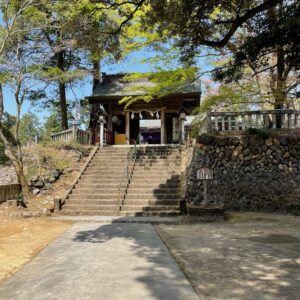 唐澤山神社の石段③