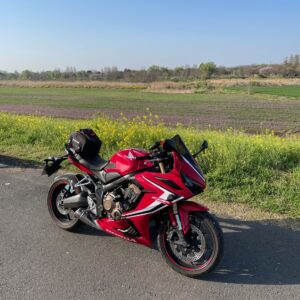 吹上コスモス畑の桜と菜の花と CBR650R②