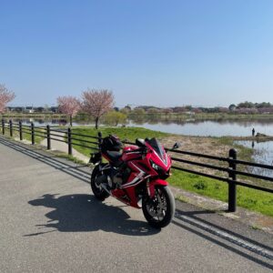 つつじが丘公園の城沼沿いの桜にてwith CBR650R