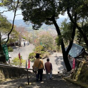 唐澤山神社で下りながら眺める眺望