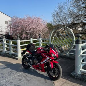 ピーク終了の「元荒川の桜並木」で見つけたいい色の桜にてwith CBR650R