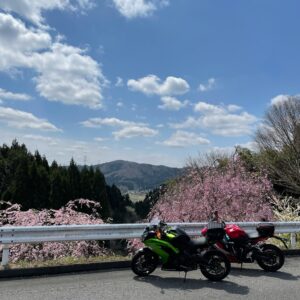 福島・石川広域農道沿いに咲く桜たちwith CBR650R&ninja650②