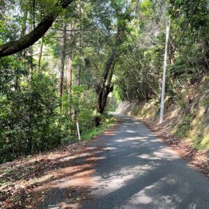 奥武蔵グリーンラインの視界の抜けないエリアにて