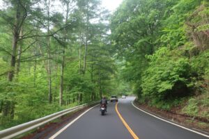 杖突峠を目指し登っていく新緑のR152