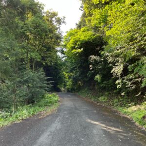 視界が閉じていく奥武蔵グリーンラインのロード風景にて