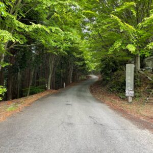 奥武蔵グリーンラインの檥峠付近の新緑風景