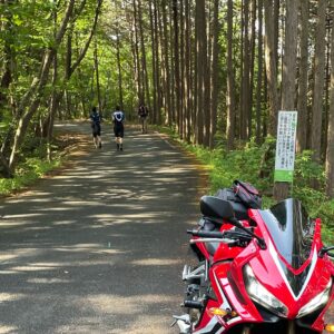 ランニングする人が行き交う奥武蔵グリーンラインwith CBR650R