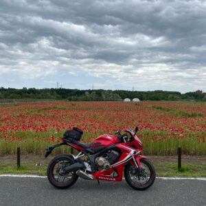 千年の苑ラベンダー園のポピー畑にてwith CBR650R