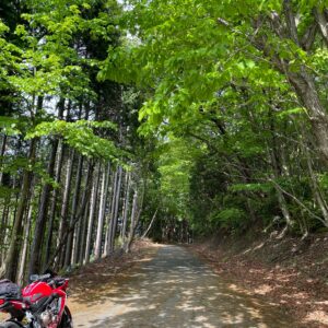 奥武蔵グリーンラインの飯盛峠奥の新緑の風景にてwith CBR650R