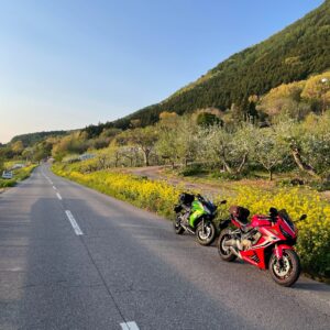 菜の花が続くたかやしろ・見晴らし街道にてwith CBR650R&ninja650