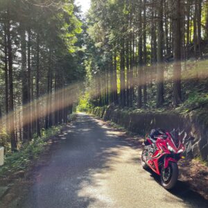 奥武蔵グリーンラインの杉が林立するエリアにてwith CBR650R②