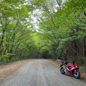 奥武蔵グリーンラインの息吹いたばかりの新緑風景にてwith CBR650R