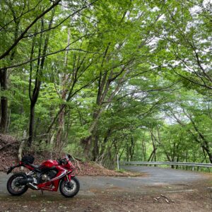 奥武蔵グリーンラインのヘアピンカーブにてwith CBR650R