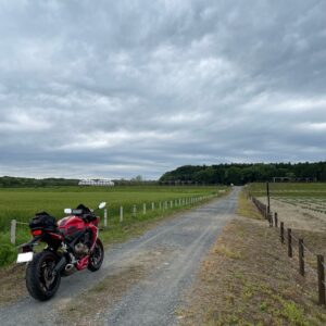 千年の苑ラベンダー園の緑の田んぼにてwith CBR650R②