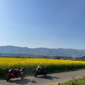 飯山市・菜の花公園の菜の花ロードにてwith CBR650R&ninja650