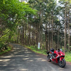 奥武蔵グリーンラインの杉が林立するエリアにてwith CBR650R