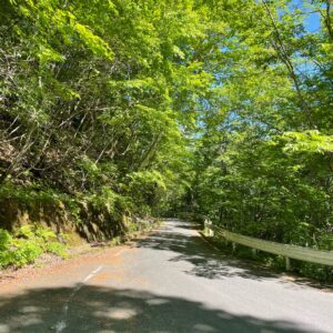 Scene-140 荒川 『荒川吊り橋、不動滝吊り橋、川又吊り橋