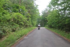 矢ノ原湿原エリアに向かうR400の側道にて②