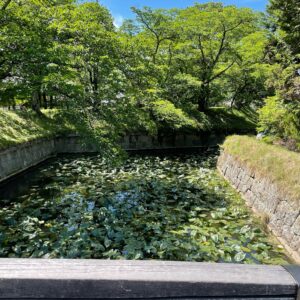 龍岡城五稜郭のお堀
