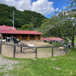 r44沿いの神津牧場にて②