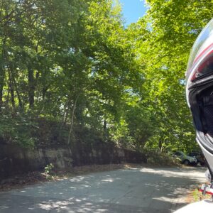 緑あふれる信州峠にて②