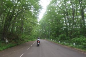 R401の新鳥居峠付近にて